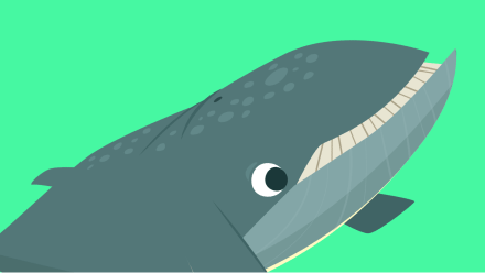 Baleia Animais Marinhos