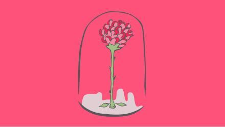 Rosa Pequeno Príncipe