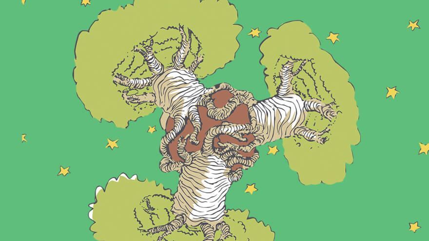 Baobás Pequeno Príncipe